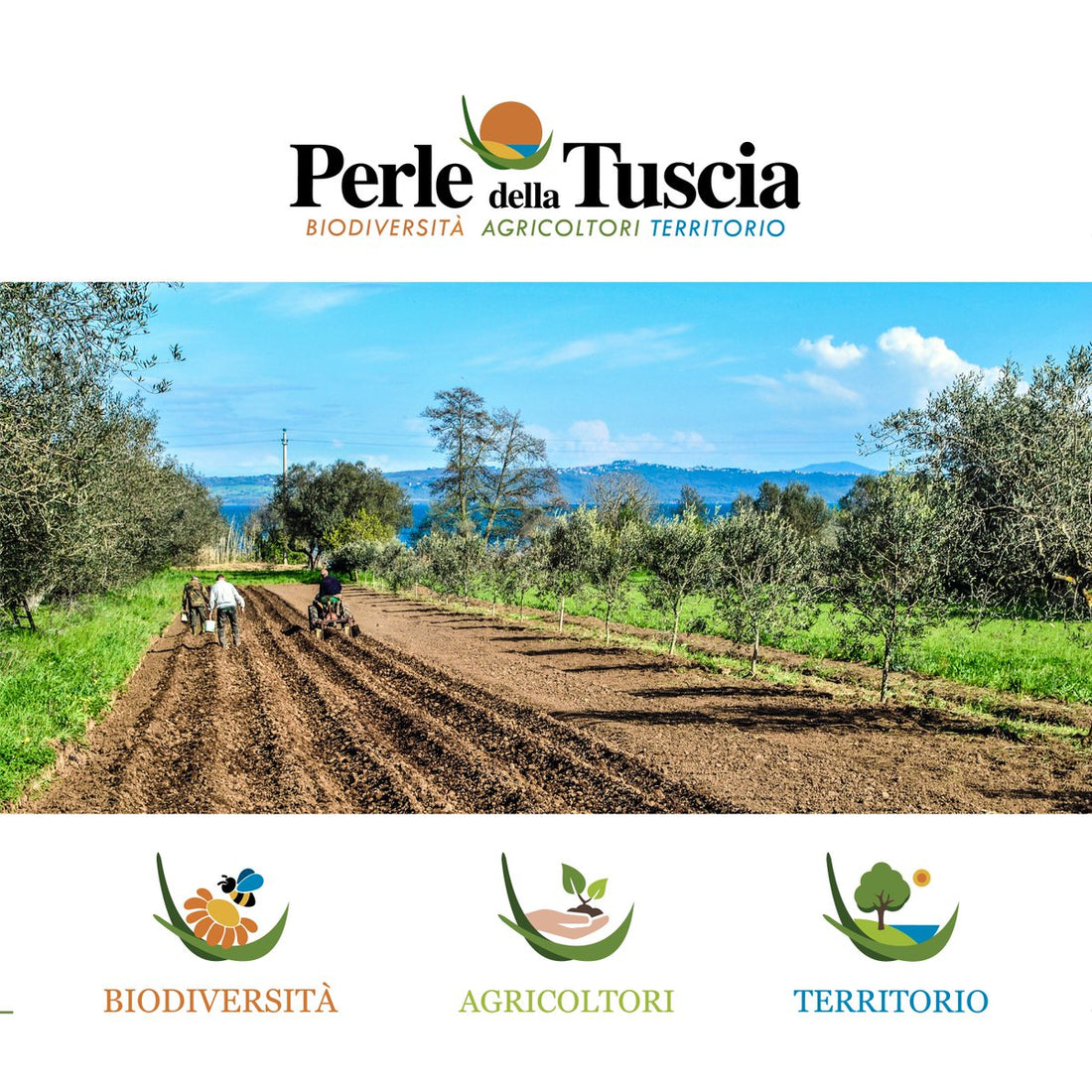Perle della Tuscia