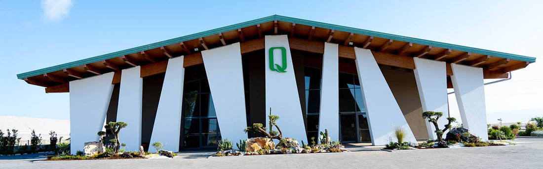 Azienda agricola Quattrociocchi